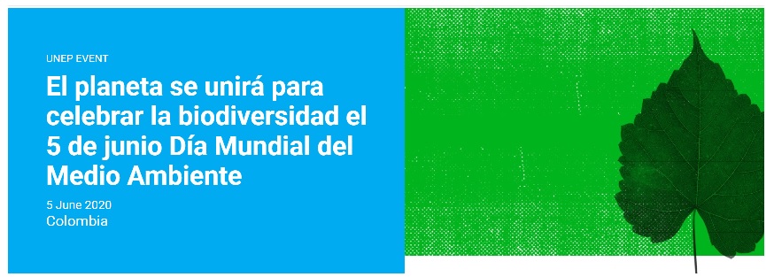 DIA DEL MEDIO AMBIENTE 2020